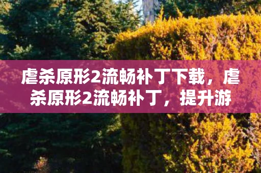 虐杀原形2流畅补丁下载,虐杀原形2流畅补丁,提升游戏体验的必备神器 虐杀原形2流畅补丁下载,虐杀原形2流畅补丁,提升游戏体验的必备神器