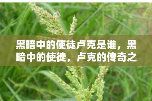 黑暗中的使徒卢克是谁，黑暗中的使徒，卢克的传奇之旅