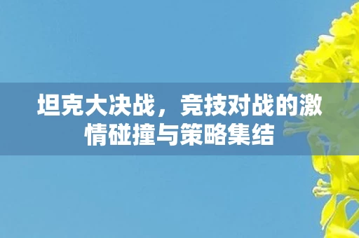 竞技对战的激情碰撞与策略集结图片