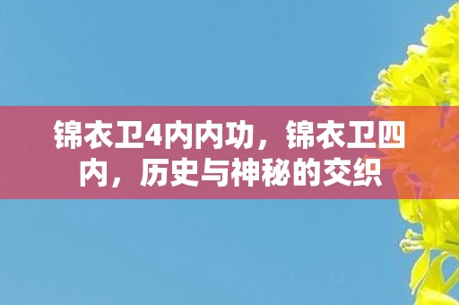 锦衣卫4内内功,锦衣卫四内,历史与神秘的交织 锦衣卫4内内功,锦衣卫四内,历史与神秘的交织