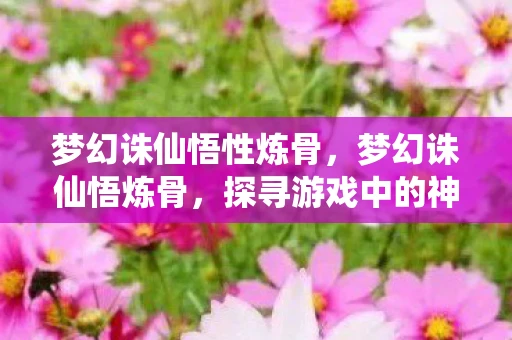 梦幻诛仙悟性炼骨，梦幻诛仙悟炼骨，探寻游戏中的神秘修炼之旅
