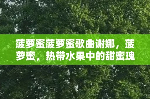 菠萝蜜菠萝蜜歌曲谢娜，菠萝蜜，热带水果中的甜蜜瑰宝