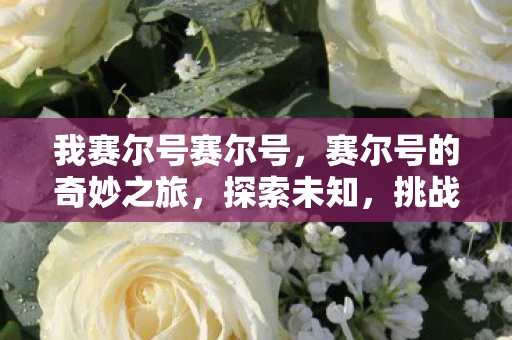 我赛尔号赛尔号，赛尔号的奇妙之旅，探索未知，挑战自我