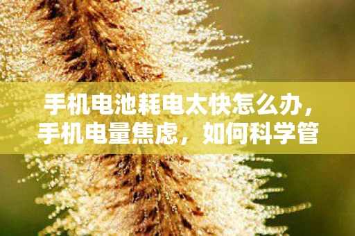 手机电池耗电太快怎么办，手机电量焦虑，如何科学管理与延长电池寿命