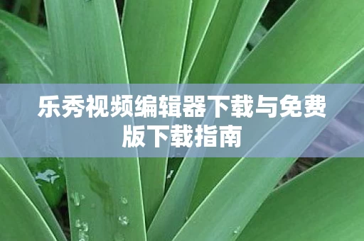 乐秀视频编辑器下载与免费版下载指南图片