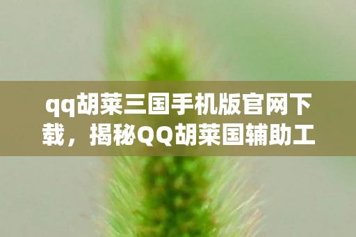qq胡莱三国手机版官网下载，揭秘QQ胡莱国辅助工具，游戏辅助背后的真相与风险