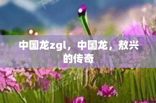 中国龙zgl，中国龙，敖兴的传奇