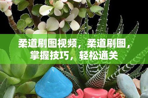 柔道刷图视频，柔道刷图，掌握技巧，轻松通关