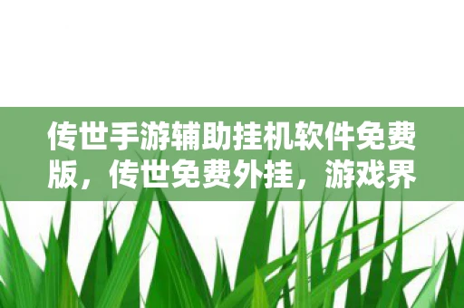 传世手游辅助挂机软件免费版，传世免费外挂，游戏界的灰色阴影