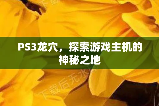 PS3龙穴，探索游戏主机的神秘之地