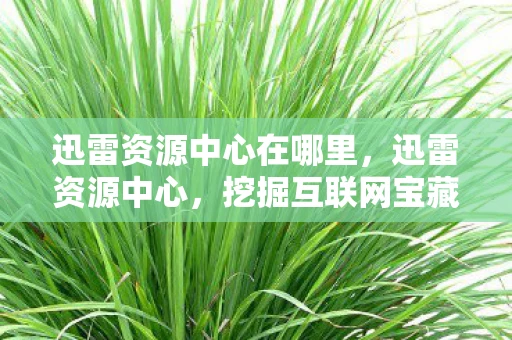 迅雷资源中心在哪里，迅雷资源中心，挖掘互联网宝藏的钥匙