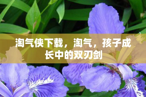 淘气侠下载，淘气，孩子成长中的双刃剑