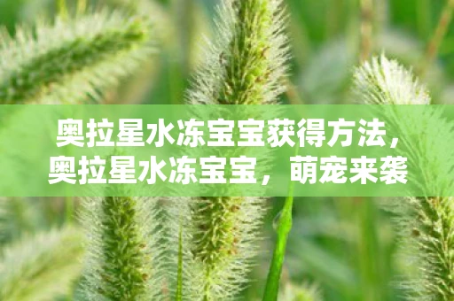 奥拉星水冻宝宝获得方法，奥拉星水冻宝宝，萌宠来袭，解锁夏日清凉新体验