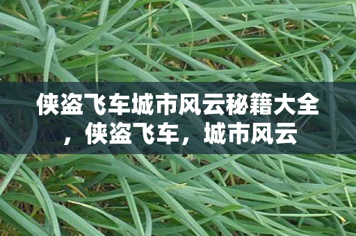 侠盗飞车城市风云秘籍大全，侠盗飞车，城市风云