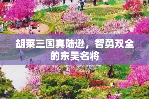 智勇双全的东吴名将图片