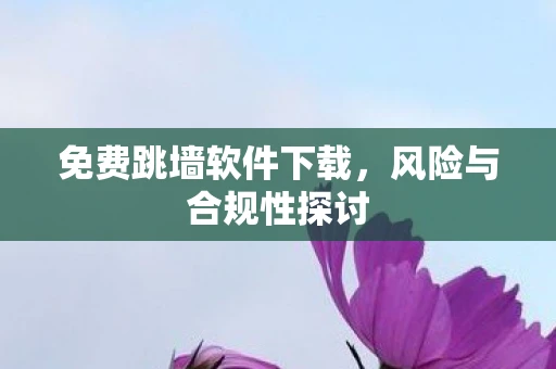 免费跳墙软件下载,风险与合规性探讨 免费跳墙软件下载,风险与合规性探讨
