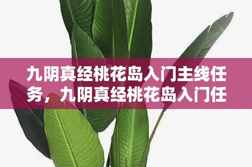 九阴真经桃花岛入门主线任务，九阴真经桃花岛入门任务，探寻神秘岛屿的奥秘