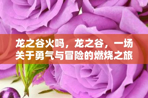 龙之谷火吗，龙之谷，一场关于勇气与冒险的燃烧之旅