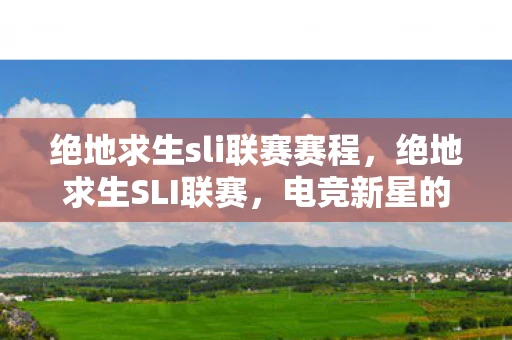 绝地求生sli联赛赛程，绝地求生SLI联赛，电竞新星的崛起与挑战