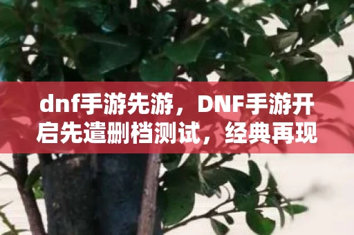 dnf手游先游，DNF手游开启先遣删档测试，经典再现，激情重燃