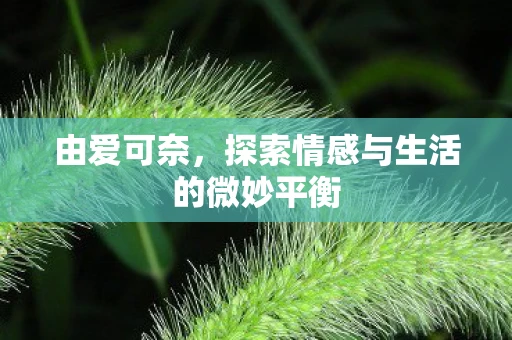 由爱可奈,探索情感与生活的微妙平衡 由爱可奈,探索情感与生活的微妙平衡