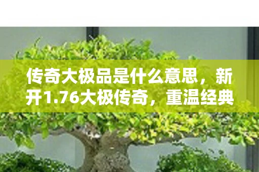传奇大极品是什么意思,新开1.76大极传奇,重温经典,再战江湖 传奇大极品是什么意思,新开1.76大极传奇,重温经典,再战江湖