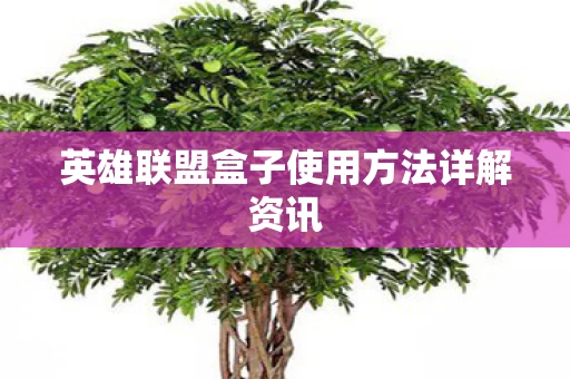 英雄联盟盒子使用方法详解资讯图片