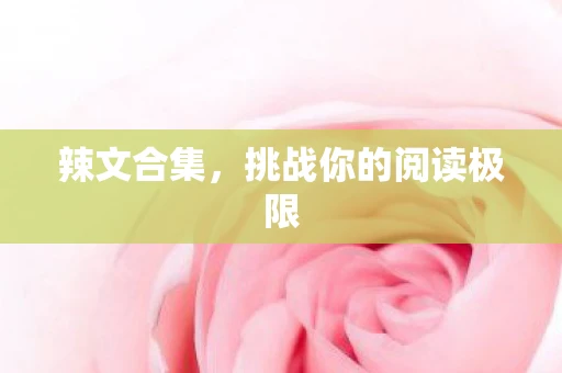 辣文合集，挑战你的阅读极限