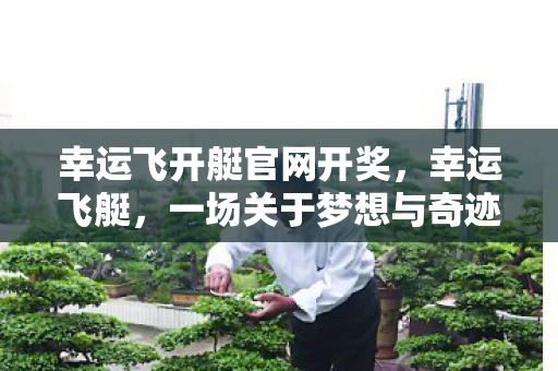 幸运飞开艇官网开奖，幸运飞艇，一场关于梦想与奇迹的飞行