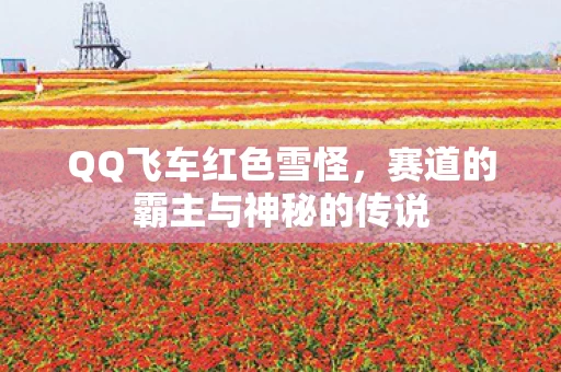 赛道的霸主与神秘的传说图片
