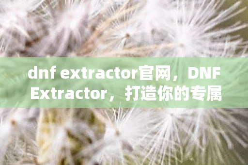 dnf extractor官网，DNF Extractor，打造你的专属游戏宝藏
