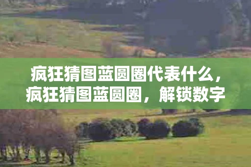 疯狂猜图蓝圆圈代表什么，疯狂猜图蓝圆圈，解锁数字谜题背后的秘密