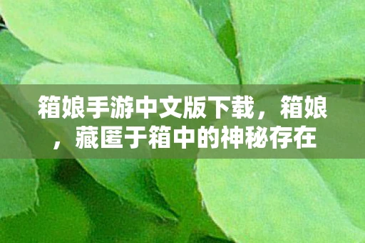 箱娘手游中文版下载,箱娘,藏匿于箱中的神秘存在 箱娘手游中文版下载,箱娘,藏匿于箱中的神秘存在