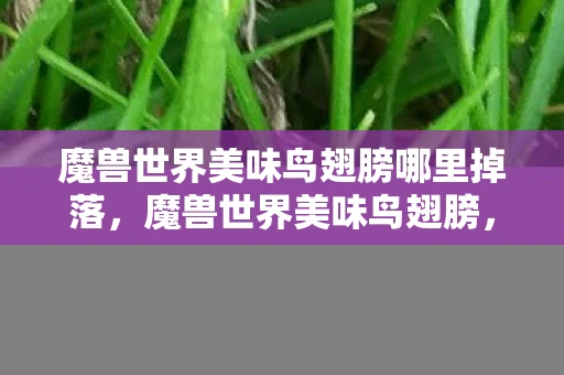 魔兽世界美味鸟翅膀哪里掉落,魔兽世界美味鸟翅膀,探索游戏中的美食与传说 魔兽世界美味鸟翅膀哪里掉落,魔兽世界美味鸟翅膀,探索游戏中的美食与传说