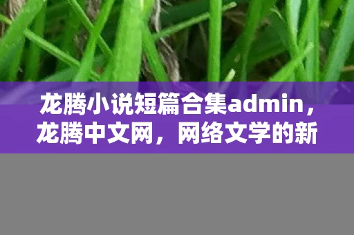 龙腾小说短篇合集admin,龙腾中文网,网络文学的新篇章 龙腾小说短篇合集admin,龙腾中文网,网络文学的新篇章