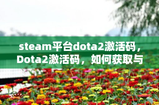 steam平台dota2激活码，Dota2激活码，如何获取与使用