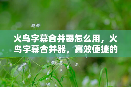 火鸟字幕合并器怎么用,火鸟字幕合并器,高效便捷的字幕处理工具 火鸟字幕合并器怎么用,火鸟字幕合并器,高效便捷的字幕处理工具