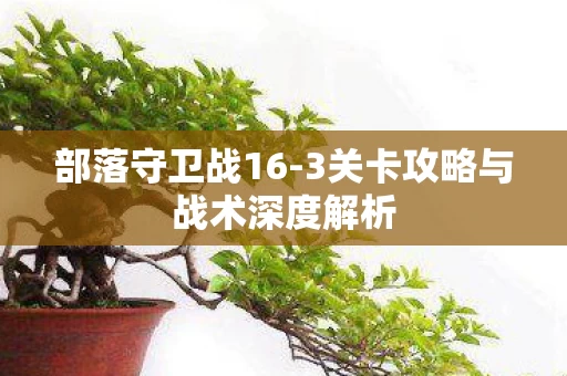 3关卡攻略与战术深度解析图片