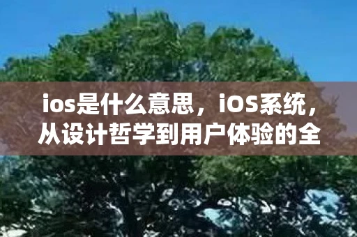 ios是什么意思,iOS系统,从设计哲学到用户体验的全面解析 ios是什么意思,iOS系统,从设计哲学到用户体验的全面解析