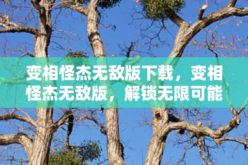 变相怪杰无敌版下载,变相怪杰无敌版,解锁无限可能的创意与欢乐 变相怪杰无敌版下载,变相怪杰无敌版,解锁无限可能的创意与欢乐