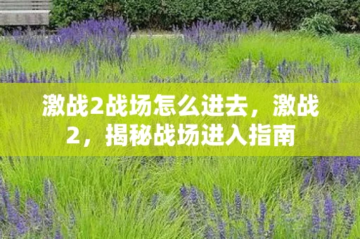 激战2战场怎么进去，激战2，揭秘战场进入指南