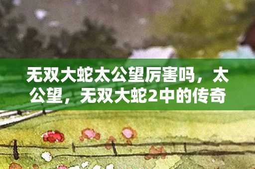 无双大蛇太公望厉害吗，太公望，无双大蛇2中的传奇智者