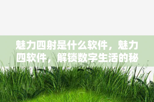 魅力四射是什么软件，魅力四软件，解锁数字生活的秘密武器