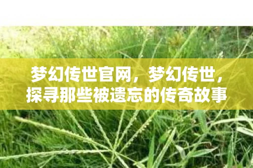 梦幻传世官网，梦幻传世，探寻那些被遗忘的传奇故事