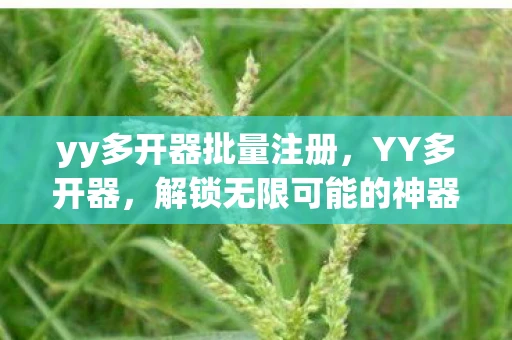 yy多开器批量注册,YY多开器,解锁无限可能的神器 yy多开器批量注册,YY多开器,解锁无限可能的神器