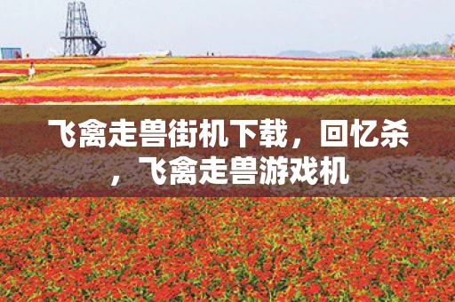 飞禽走兽街机下载，回忆杀，飞禽走兽游戏机