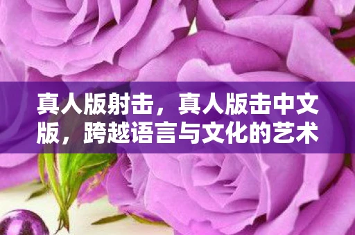 真人版射击，真人版击中文版，跨越语言与文化的艺术之旅