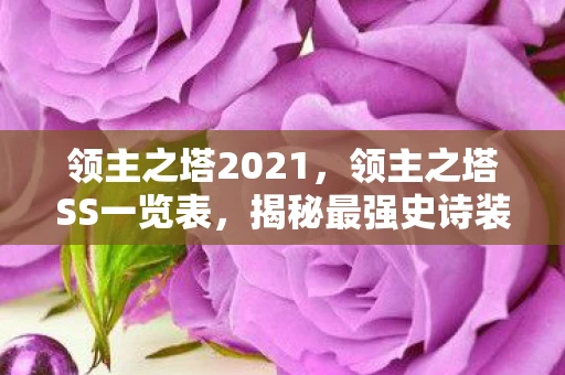 领主之塔2021，领主之塔SS一览表，揭秘最强史诗装备