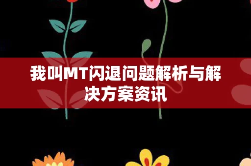 我叫MT闪退问题解析与解决方案资讯图片