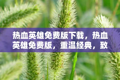 热血英雄免费版下载,热血英雄免费版,重温经典,致敬英雄 热血英雄免费版下载,热血英雄免费版,重温经典,致敬英雄